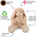 Cuddle Bunny - Image 3